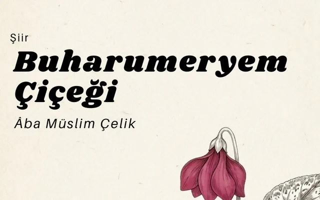 Buharumeryem Çiçeği