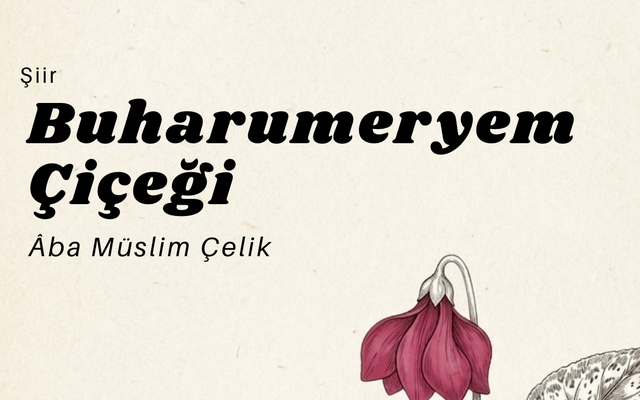 Buharumeryem Çiçeği