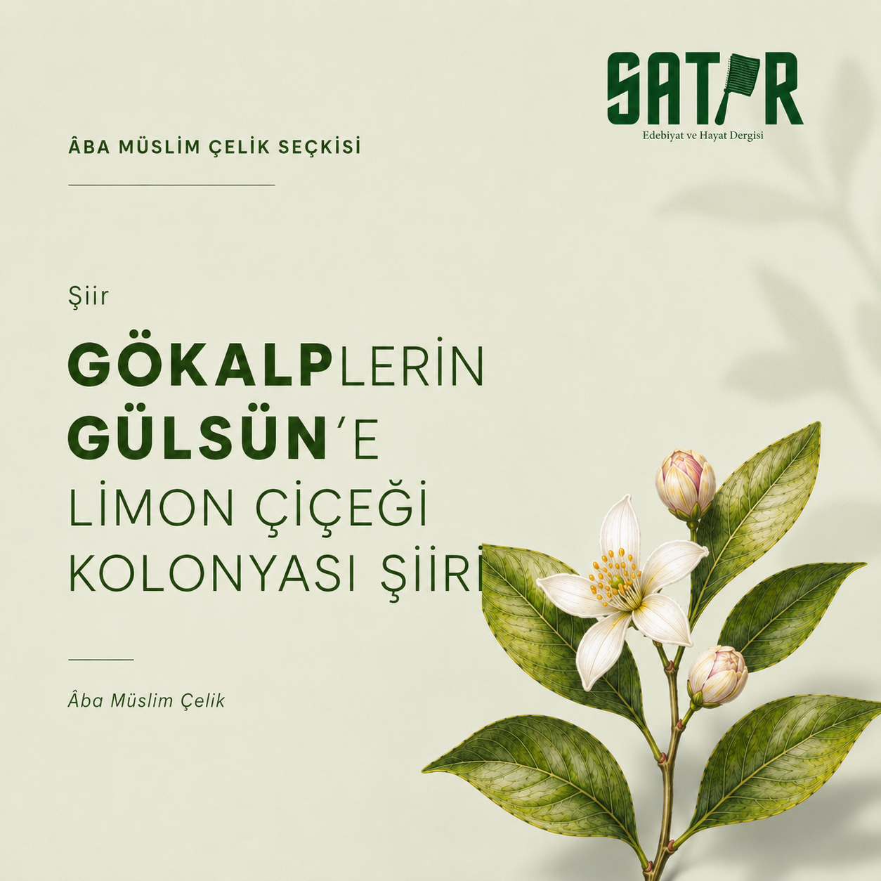 Gökalplerin Gülsün’e Limon Çiçeği Kolonyası Şiiri