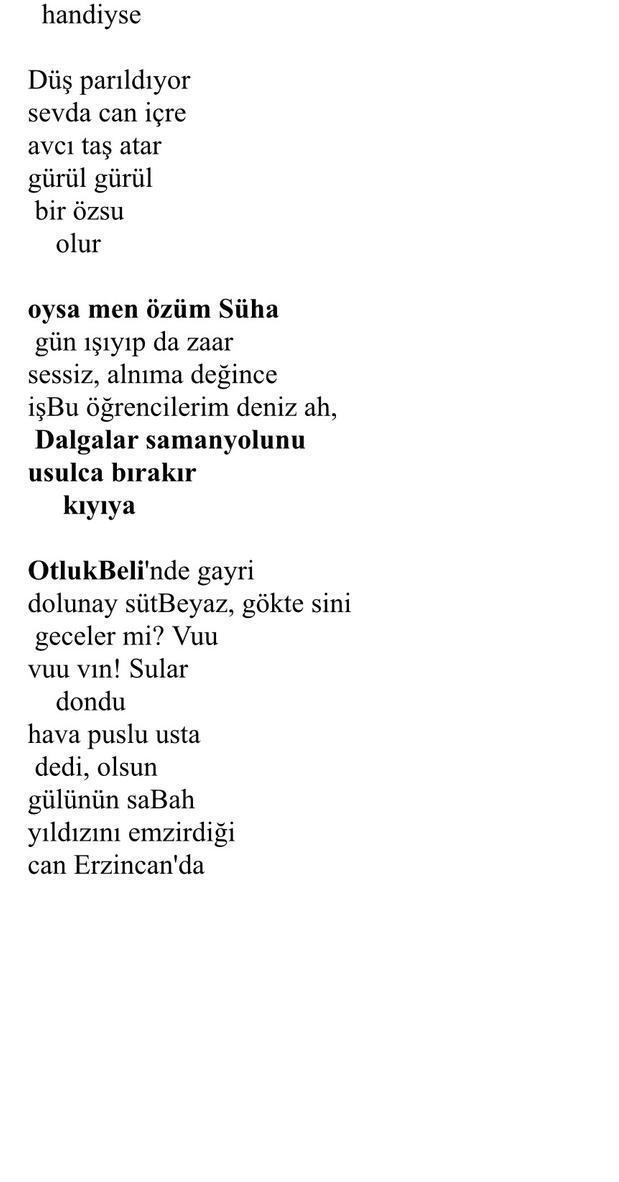 Müslim Çelik'ten Yeni Bir Üçleme