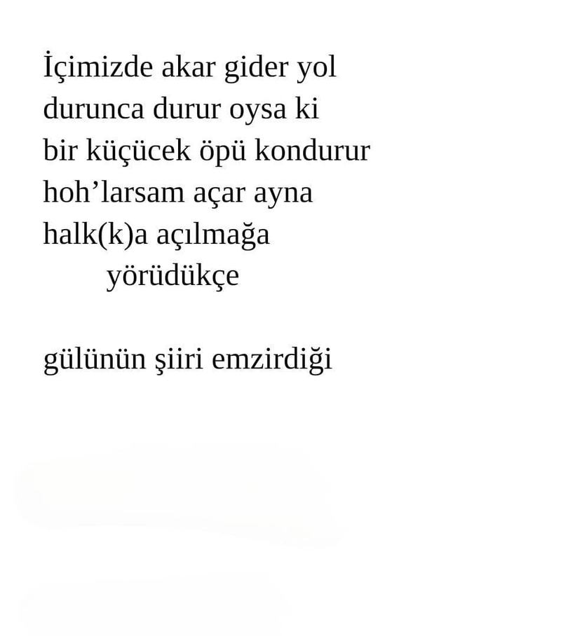 Usta Şair Âba Müslim Çelik'ten Yeni Bir Üçleme